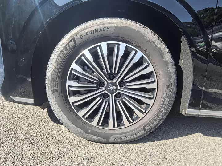 Фото 4 - BYD Xia