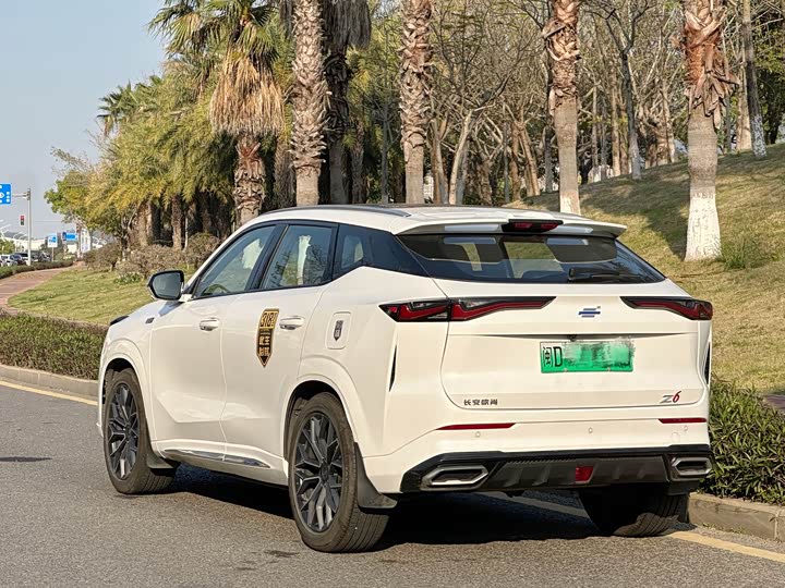 Фото 4 - Changan Oshan Z6 Hybrid