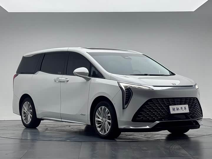 Photo 3 - Buick GL8 Century