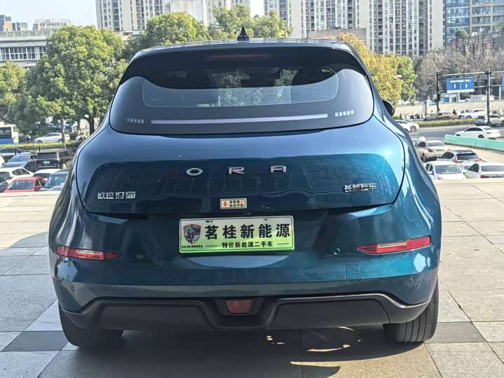 Photo 2 - Ora Good Cat (03)