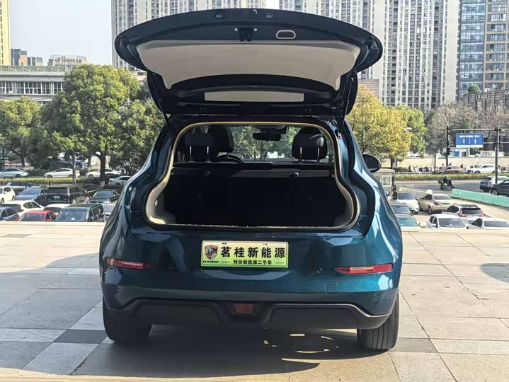 Photo 3 - Ora Good Cat (03)