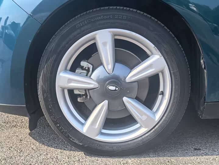 Photo 8 - Ora Good Cat (03)