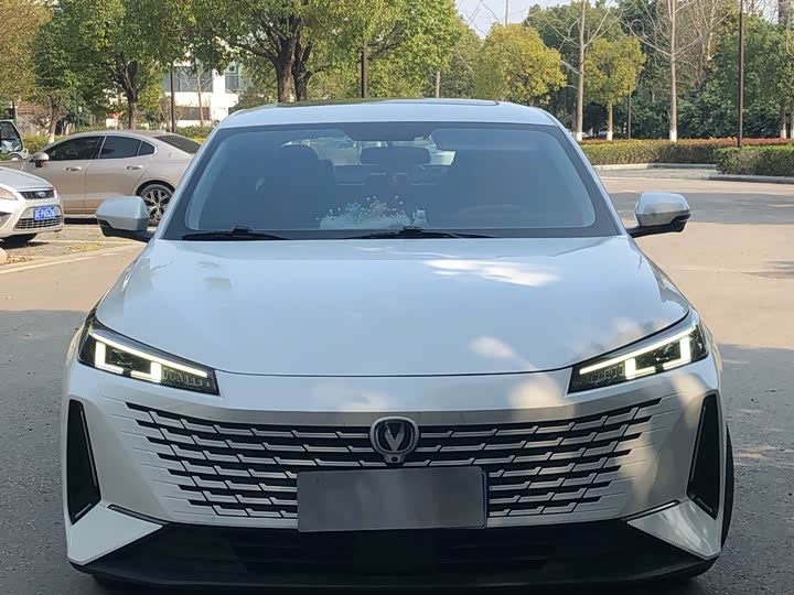 Фото 2 - Changan Yida