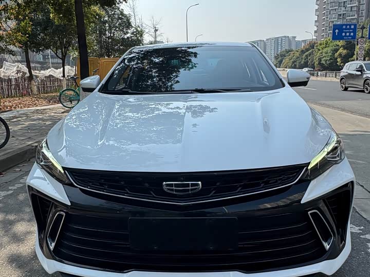 Фото 2 - Geely Binrui
