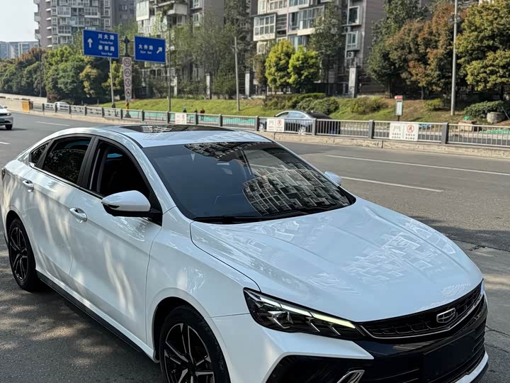 Фото 3 - Geely Binrui