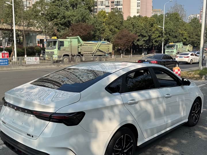 Фото 8 - Geely Binrui