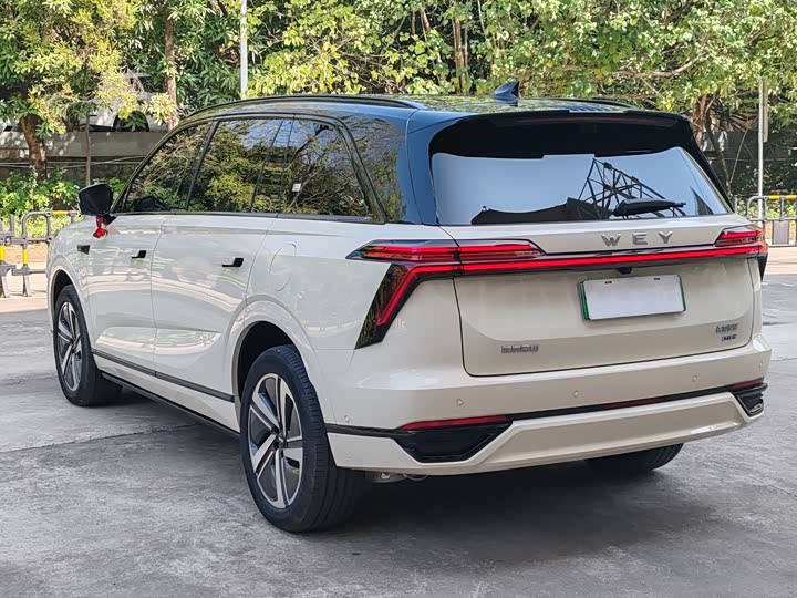 Photo 3 - Wey Lanshan