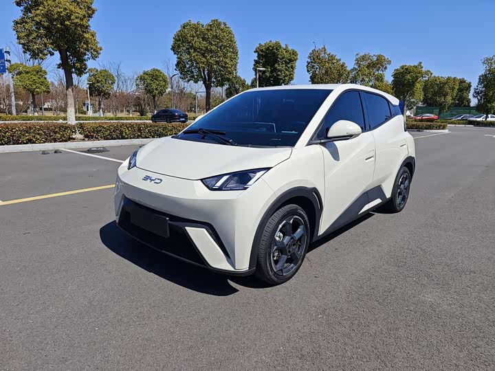 Фото 1 - BYD Seagull