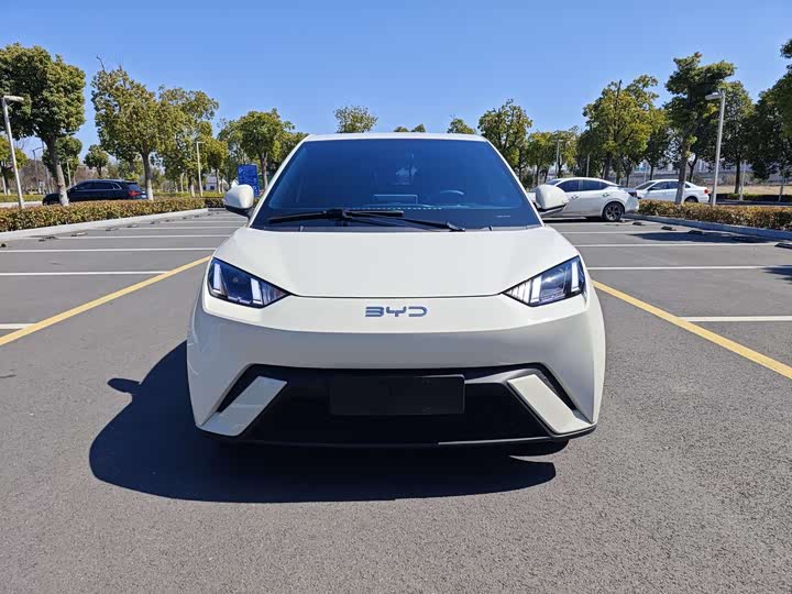 Фото 2 - BYD Seagull