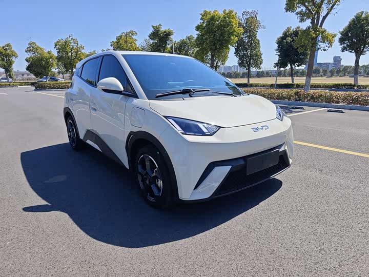 Фото 3 - BYD Seagull