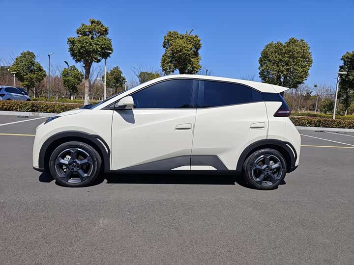 Фото 4 - BYD Seagull