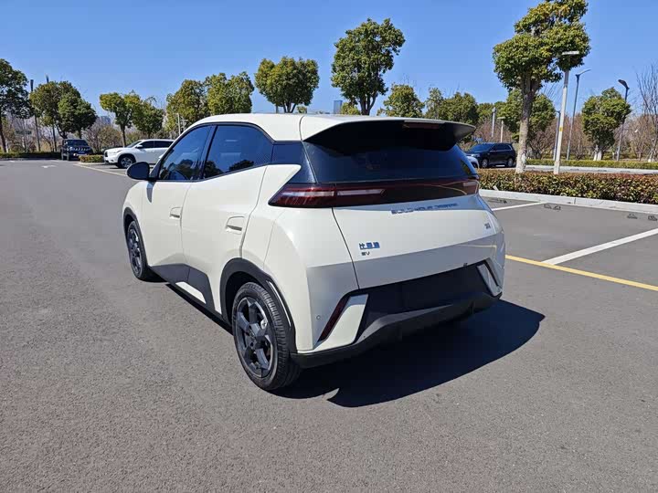 Фото 5 - BYD Seagull