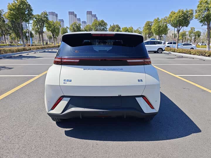 Фото 6 - BYD Seagull