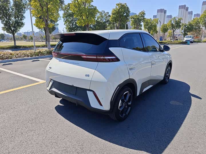 Фото 7 - BYD Seagull