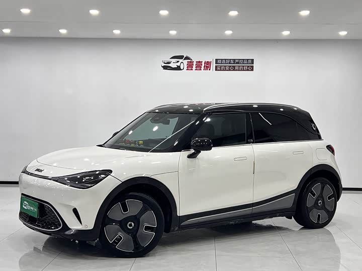 Фото 1 - Smart #1