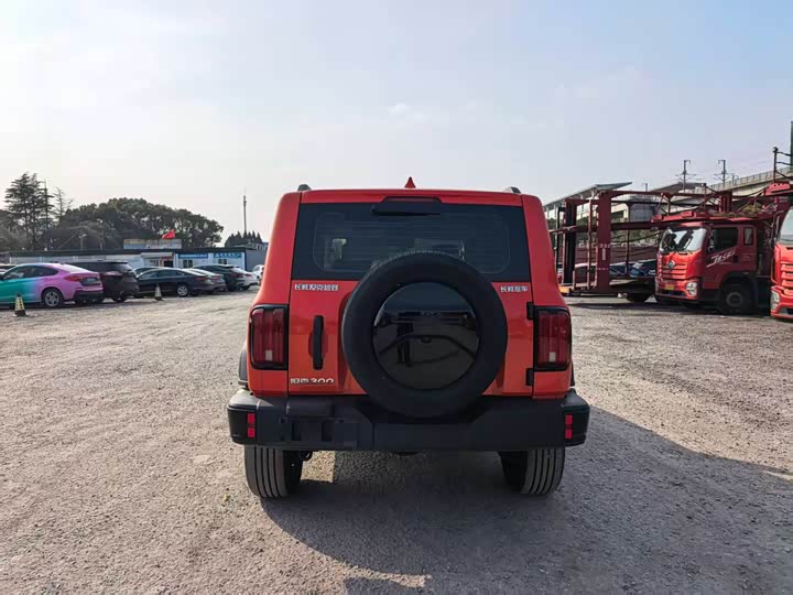 Фото 4 - Tank 300