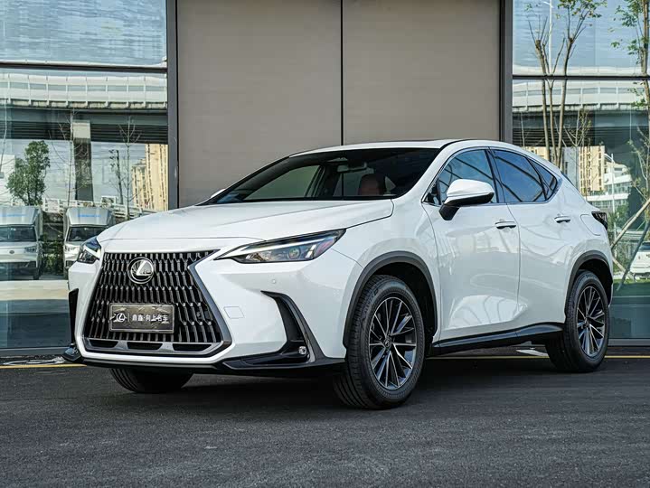 Фото 1 - Lexus NX