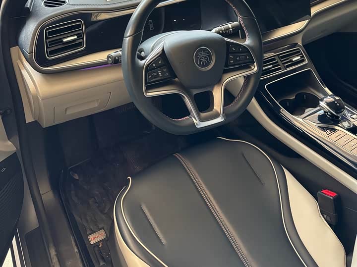 Фото 4 - BYD Qin Plus