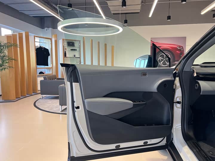 Фото 7 - Zeekr X