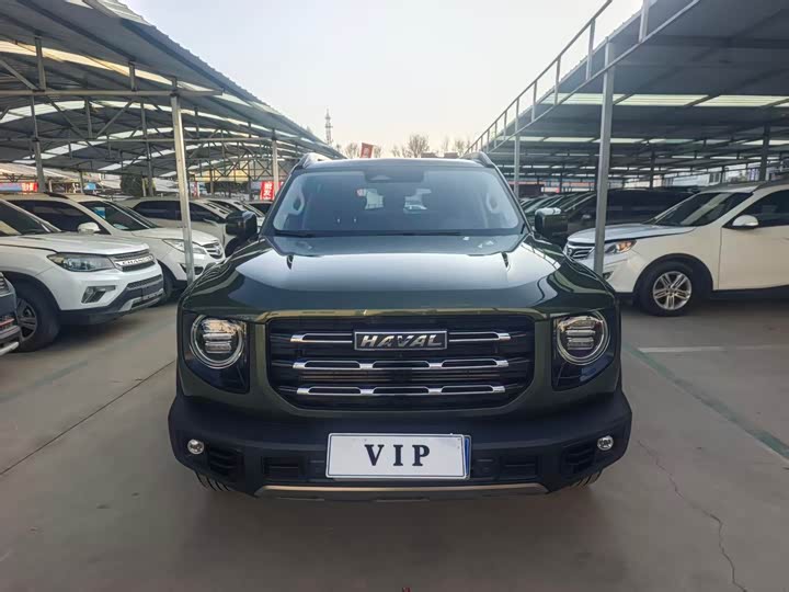 Фото 2 - Haval Dargo