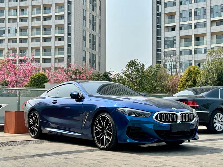 Фото 3 - BMW 8 Series