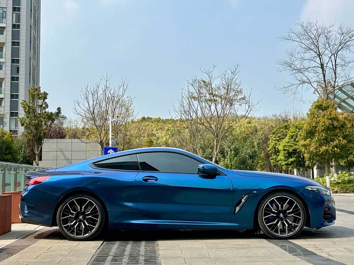 Фото 4 - BMW 8 Series