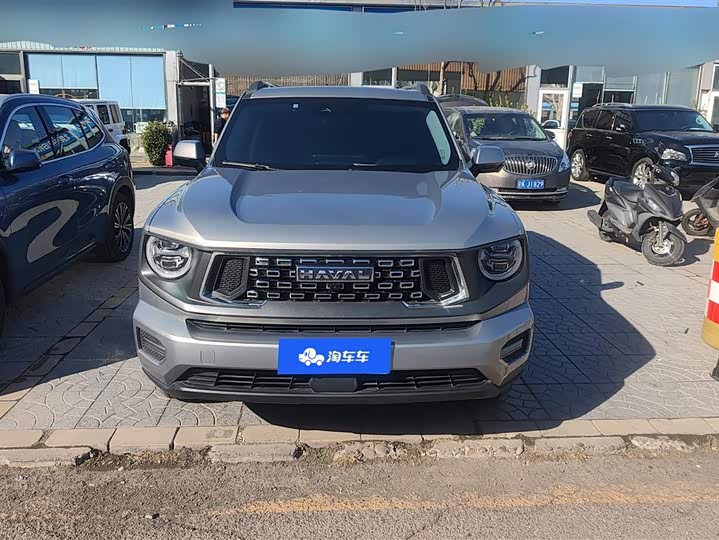 Фото 2 - Haval H-Dog