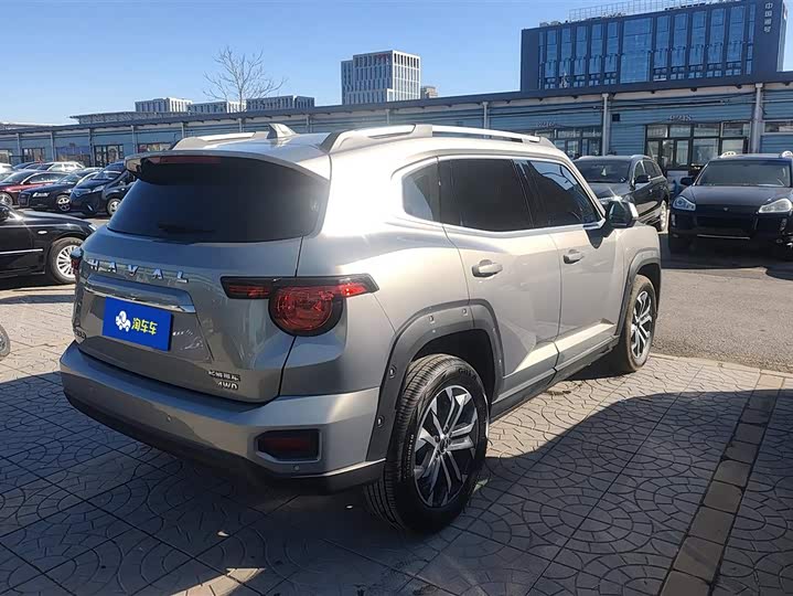 Фото 3 - Haval H-Dog