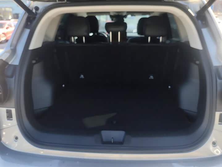 Фото 4 - Haval H-Dog