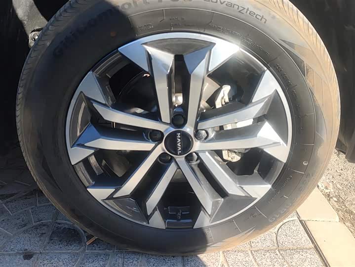 Фото 6 - Haval H-Dog