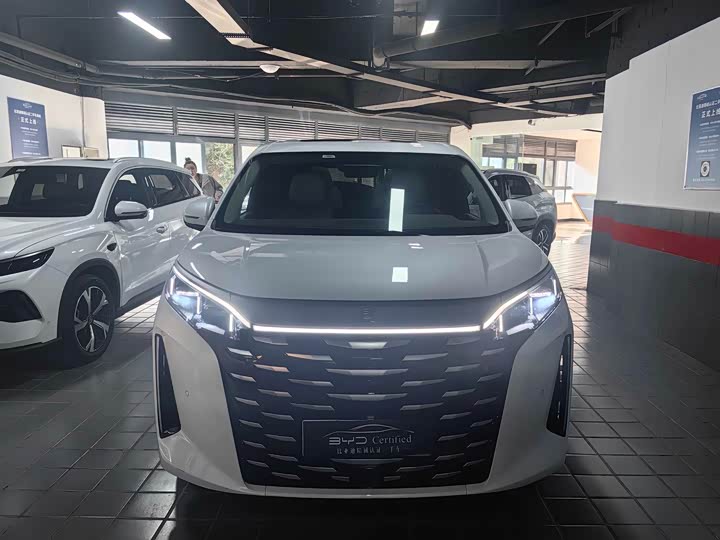 Фото 2 - BYD Xia