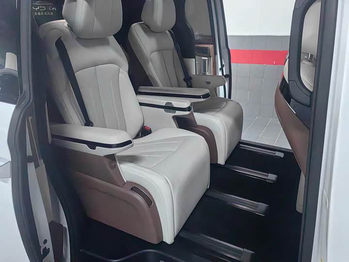 Фото 5 - BYD Xia