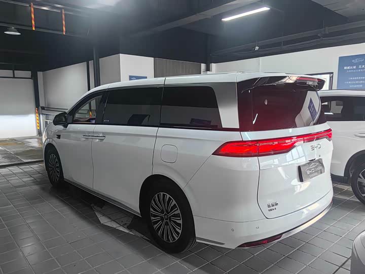 Фото 8 - BYD Xia