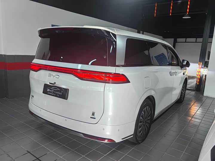 Фото 9 - BYD Xia