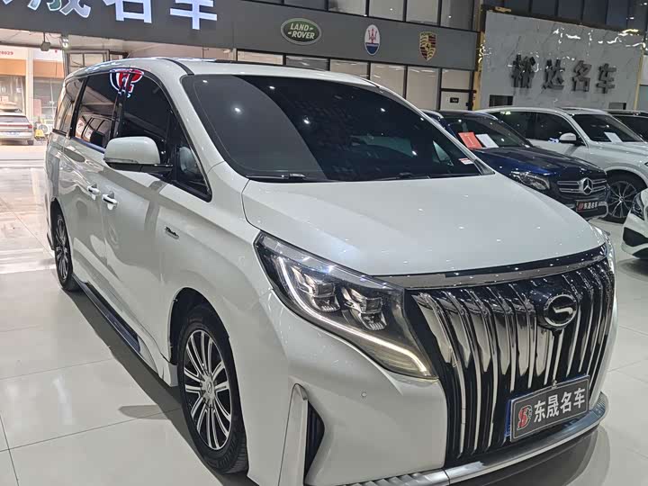 GAC Trumpchi M8 2021 2021款 大师系列 390T 尊贵版