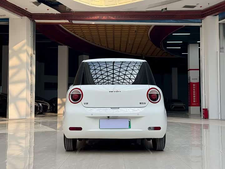 Фото 8 - Changan Qiyuan (Nevo) Lumin