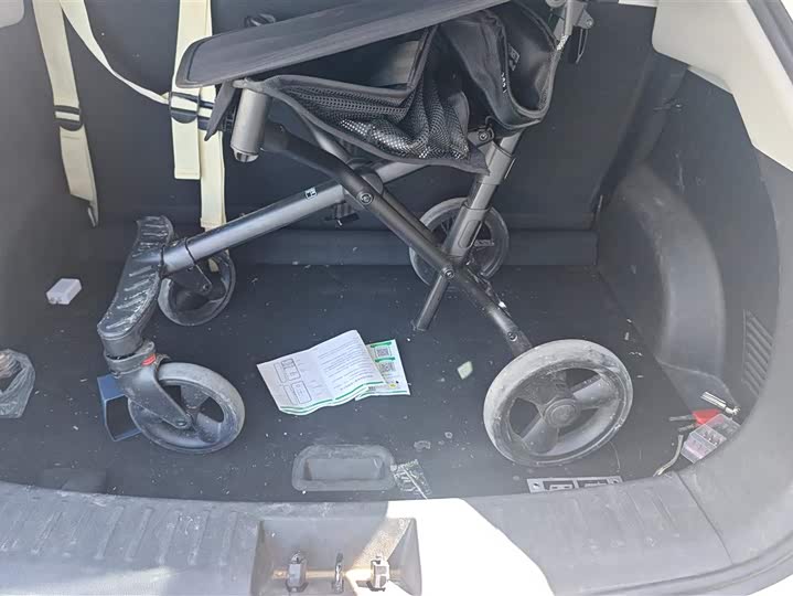 Фото 4 - Hozon AYA