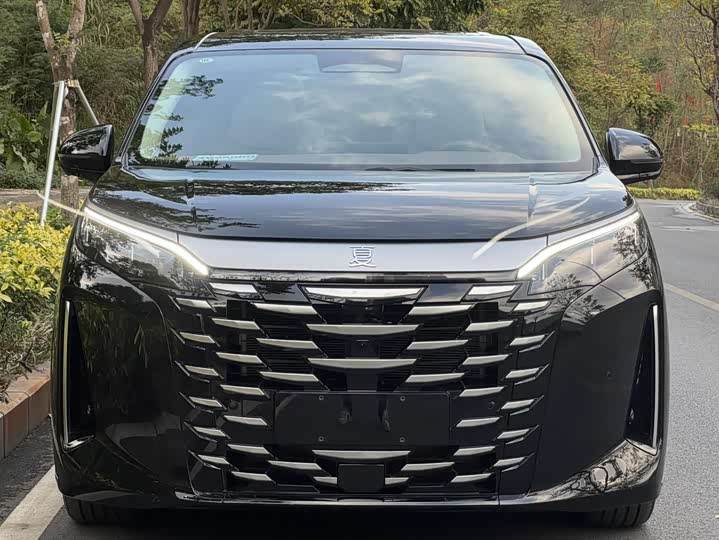 Фото 1 - BYD Xia