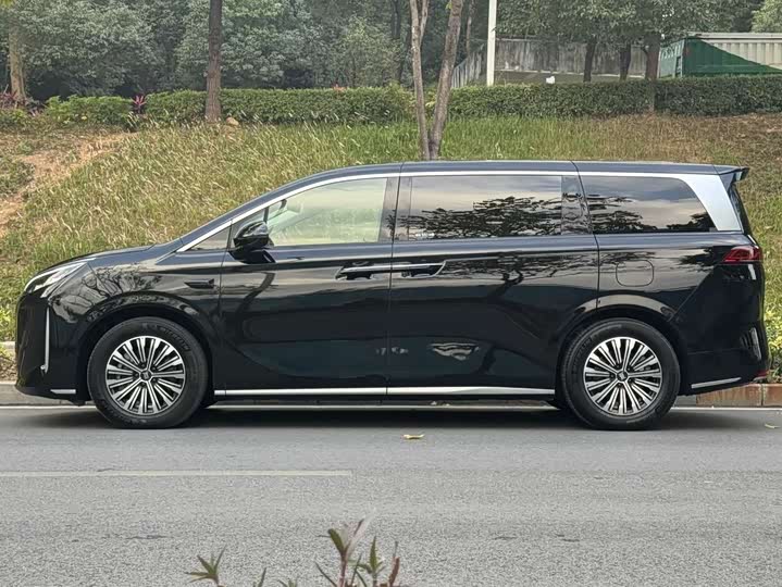 Фото 2 - BYD Xia