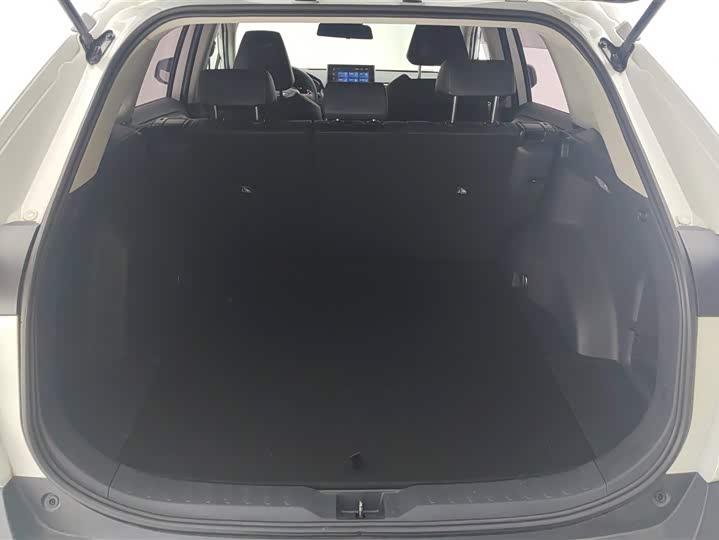 Toyota RAV4 2021 2021款 2.0L CVT两驱风尚PLUS版