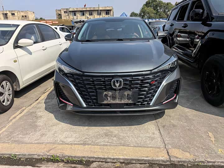 Фото 2 - Changan Eado Plus