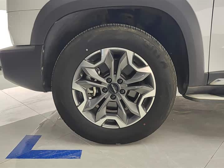 Фото 6 - Haval Dargo