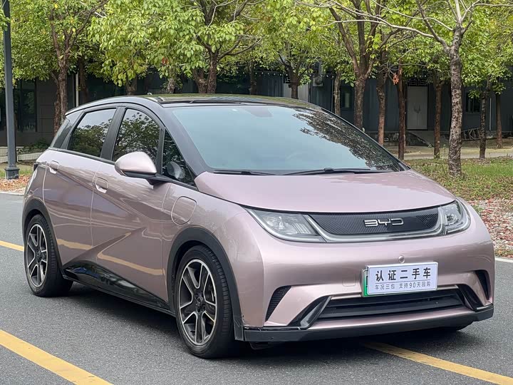 Фото 3 - BYD Dolphin