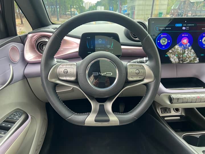 Фото 4 - BYD Dolphin