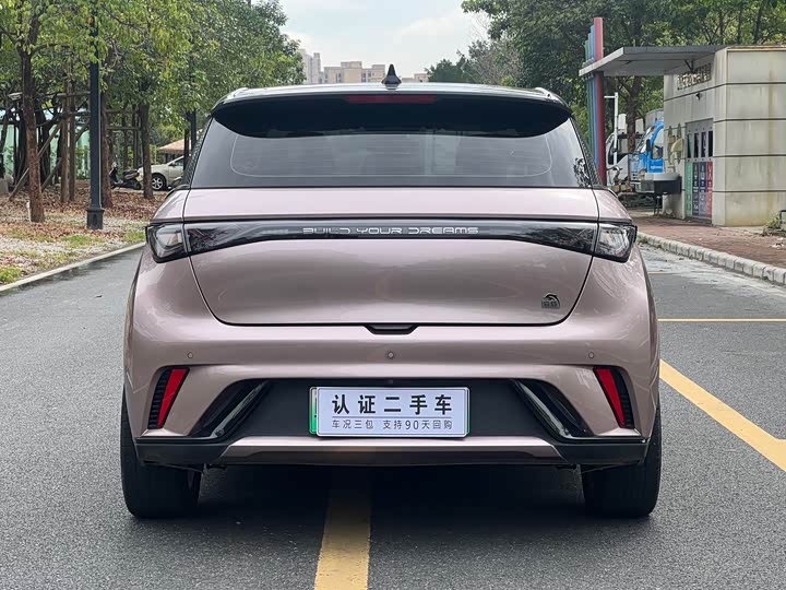 Фото 8 - BYD Dolphin