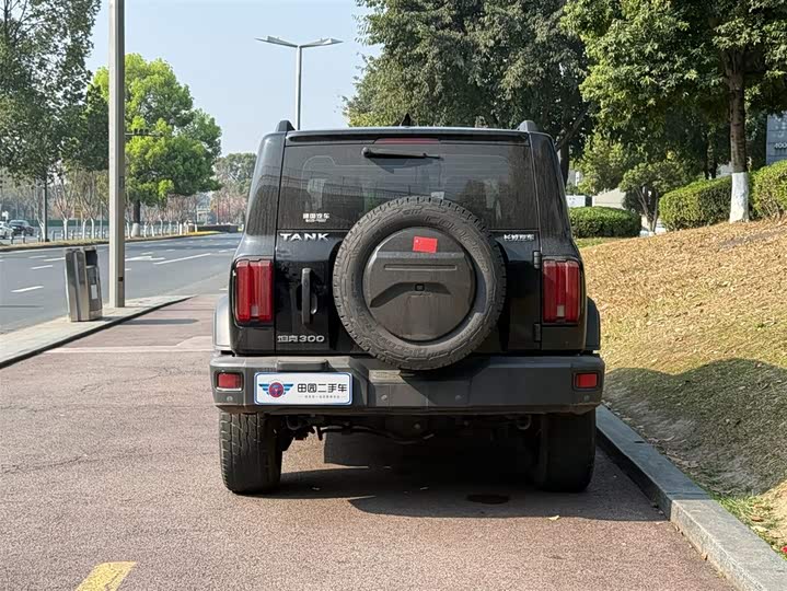 Фото 4 - Tank 300