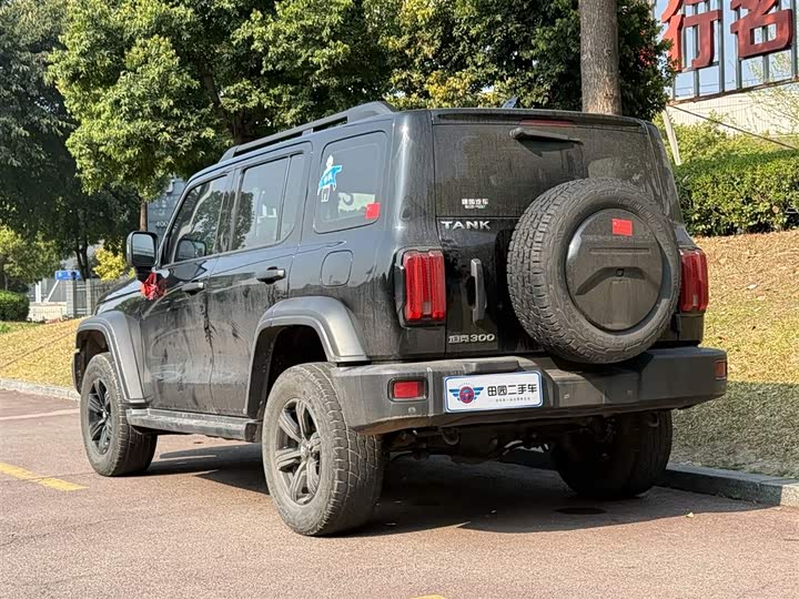 Фото 5 - Tank 300