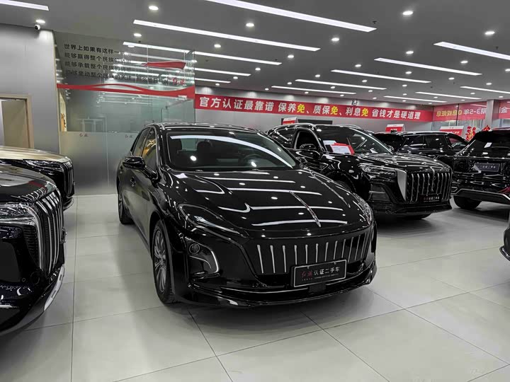 Фото 3 - Hongqi E-QM5