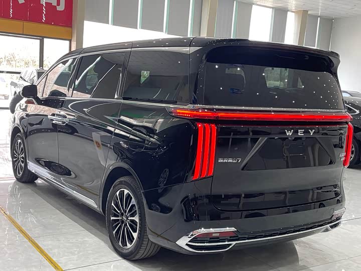 Фото 7 - Wey Gaoshan