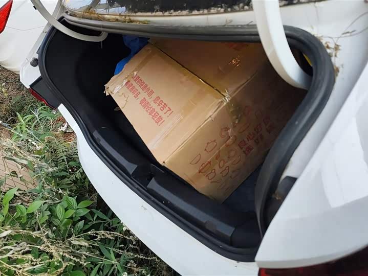 Фото 4 - Volkswagen Lavida